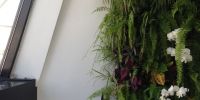 Domotique & Home cinema loft Paris - Audire